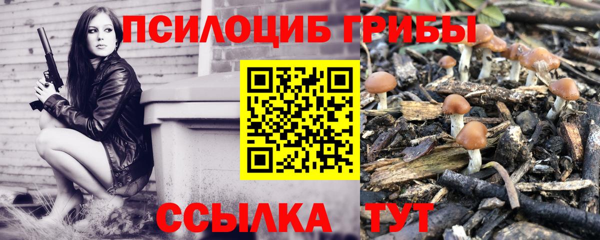 Галлюциногенные грибы Psilocybine cubensis  Псилоцибиновые грибы Psilocybine cubensis  Нефтекумск  Вход с VPN 